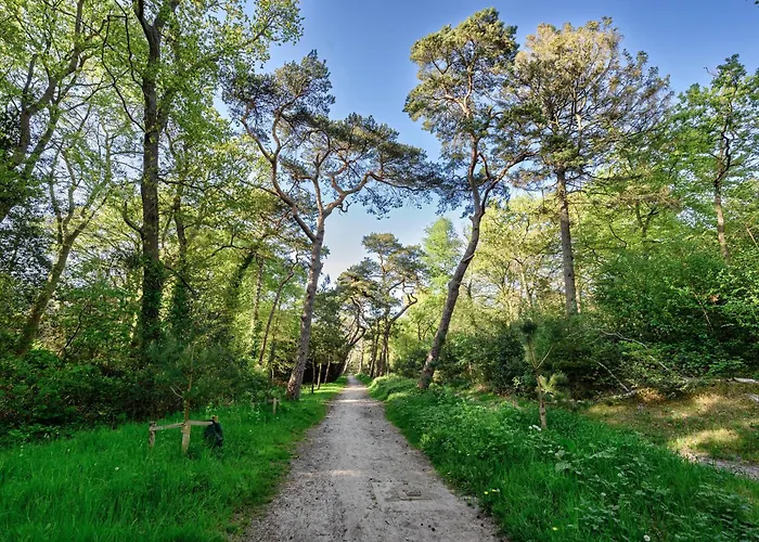 5 O Clock Somewhere * 卑尔根