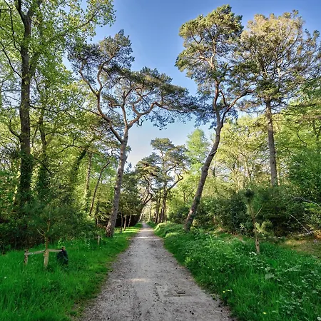 5 O Clock Somewhere * 베르겐